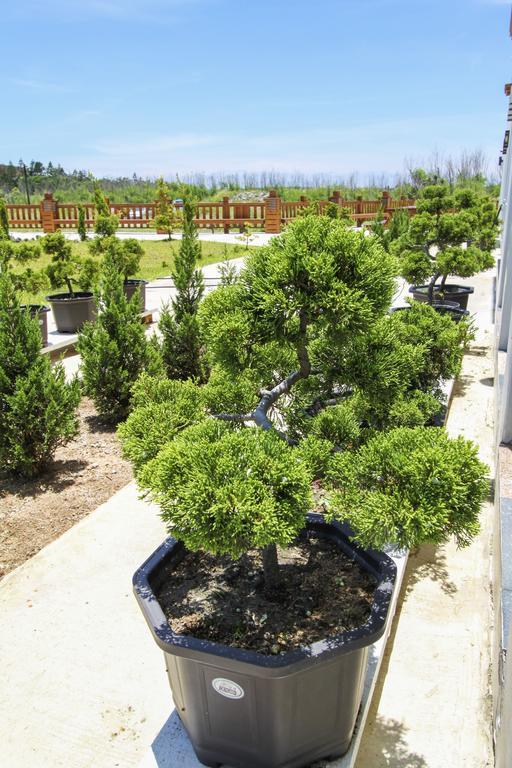 Long Xing B&B Huxi Exterior foto